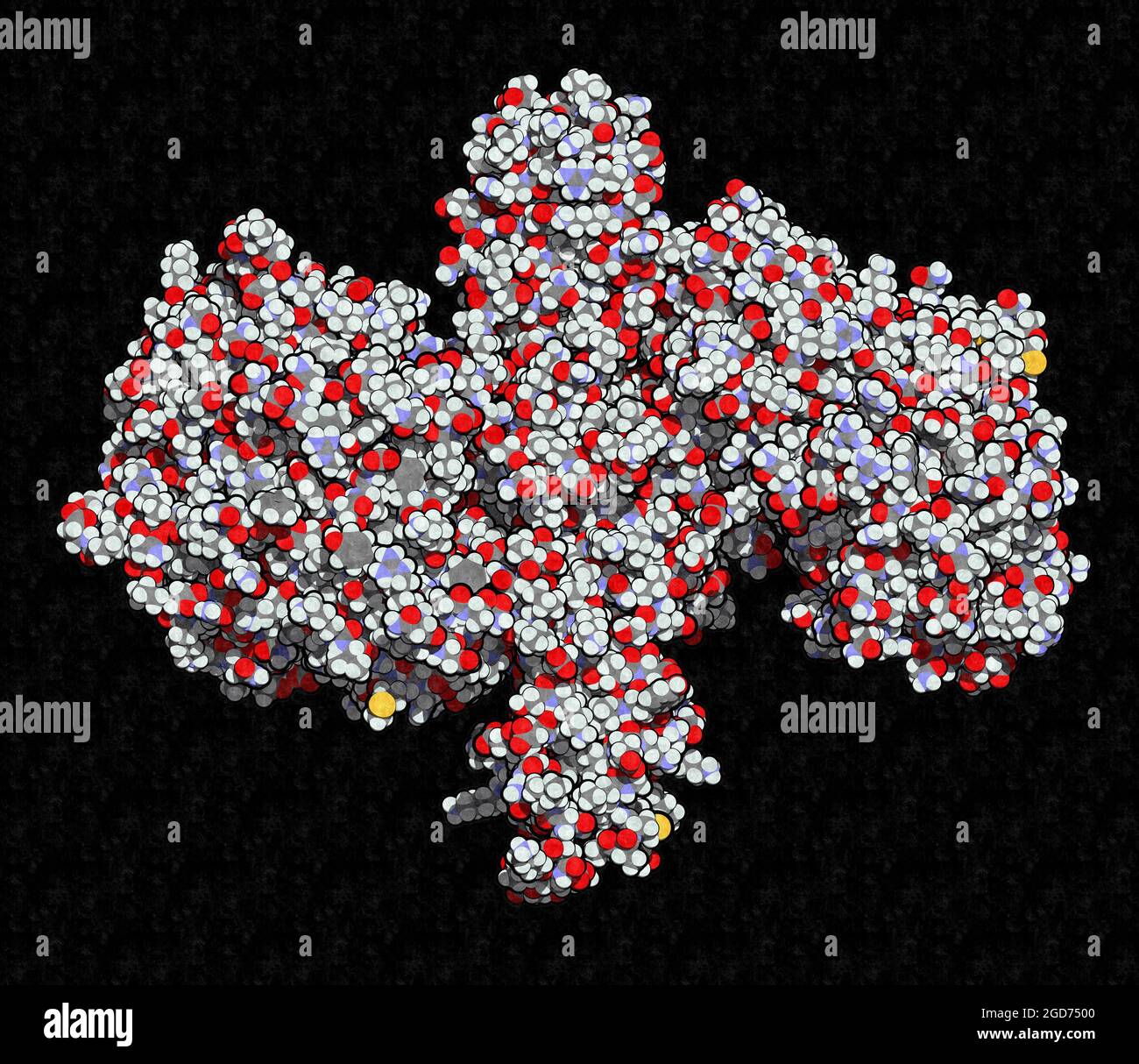 Botulinumtoxin neurotoxisches Protein, 3D-Rendering. Stockfoto