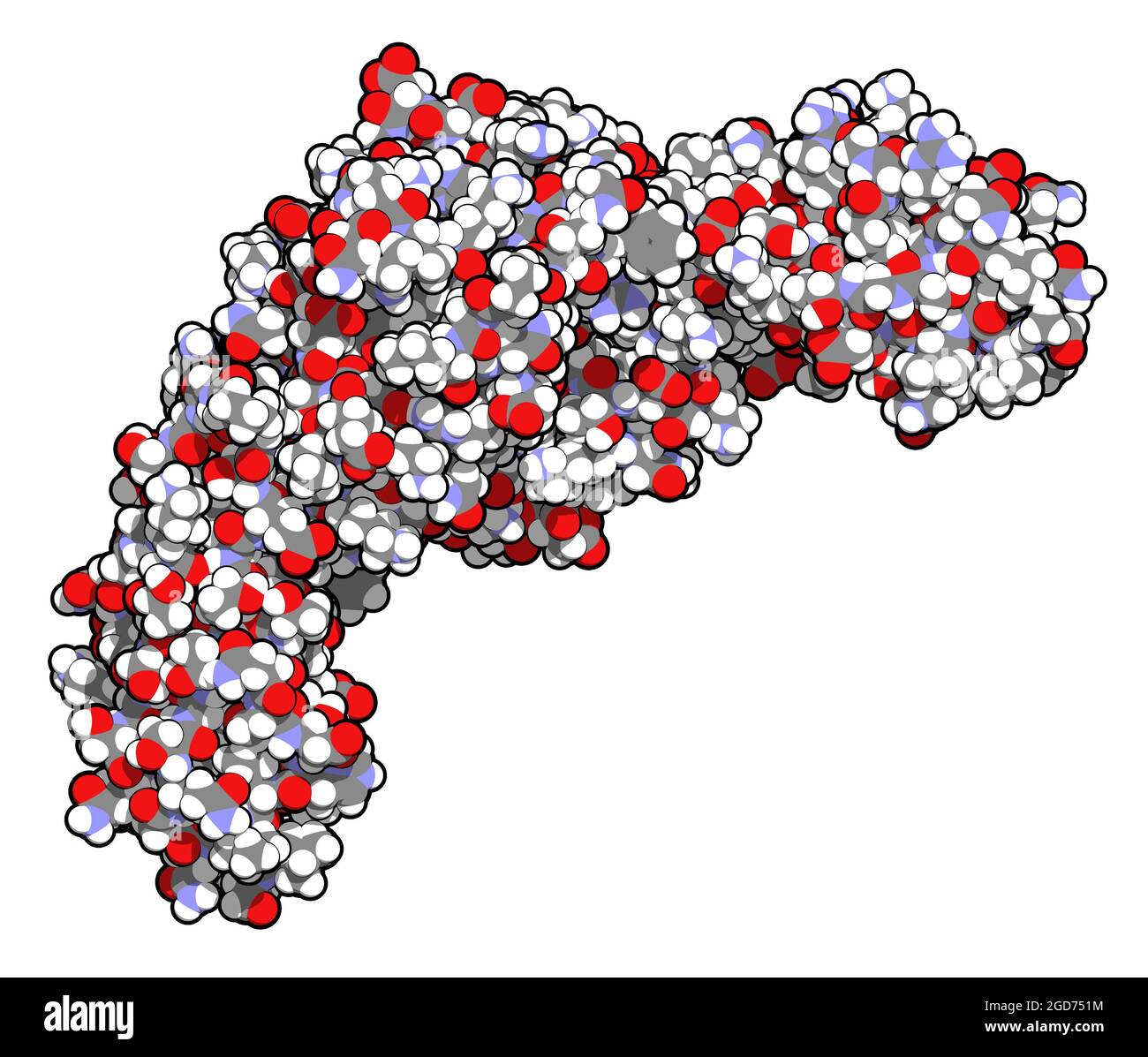 CD4-Oberflächenprotein. Glykoprotein, das auf einer Reihe von weißen b vorhanden ist Stockfoto