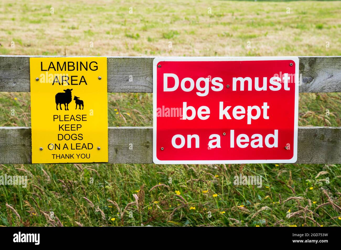 Schilder, die darauf hinweisen, dass Hunde im Lammbereich an einer Leine gehalten werden müssen. Stockfoto