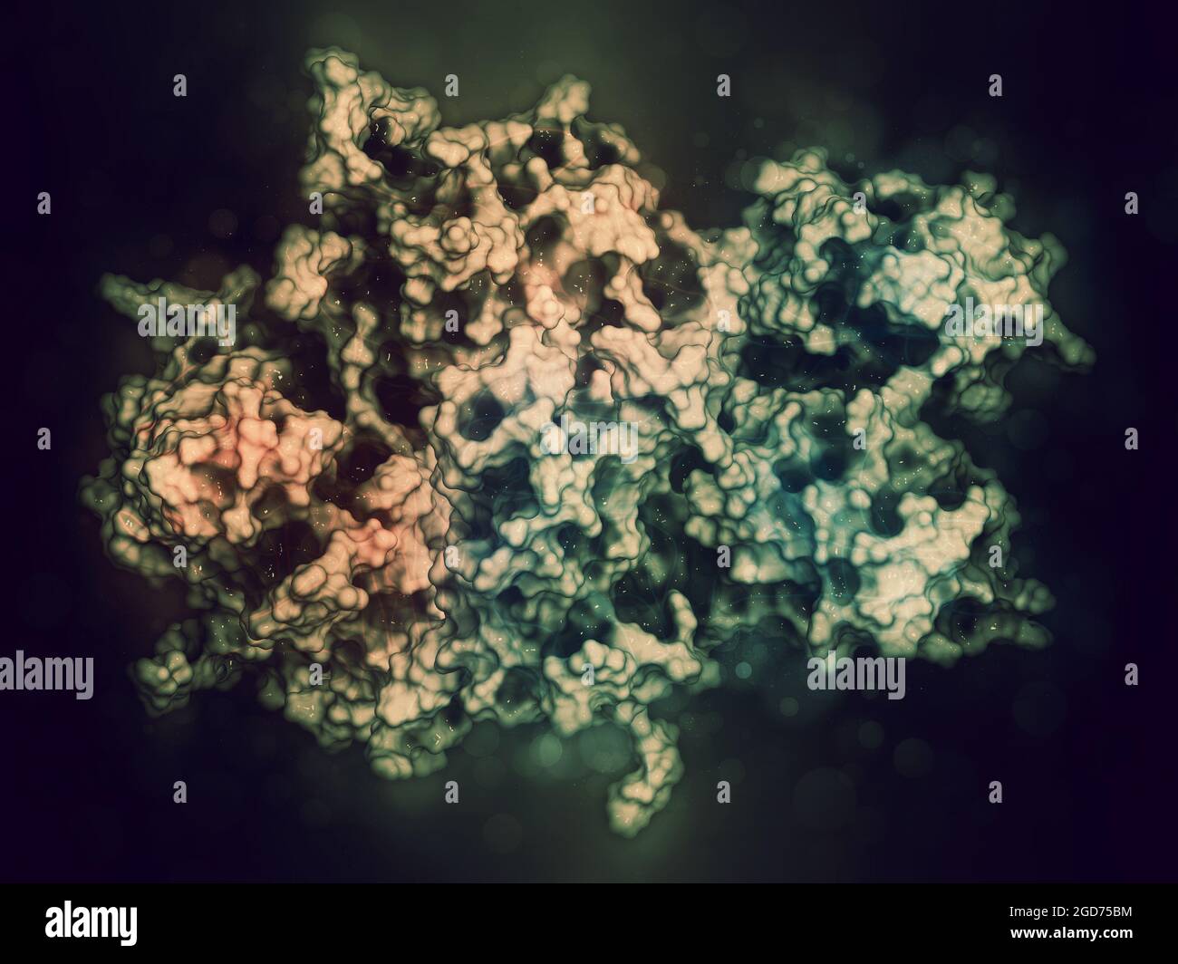 Koagulationsfaktor VIII (FVIII)-Protein, 3D-Rendering. Stockfoto