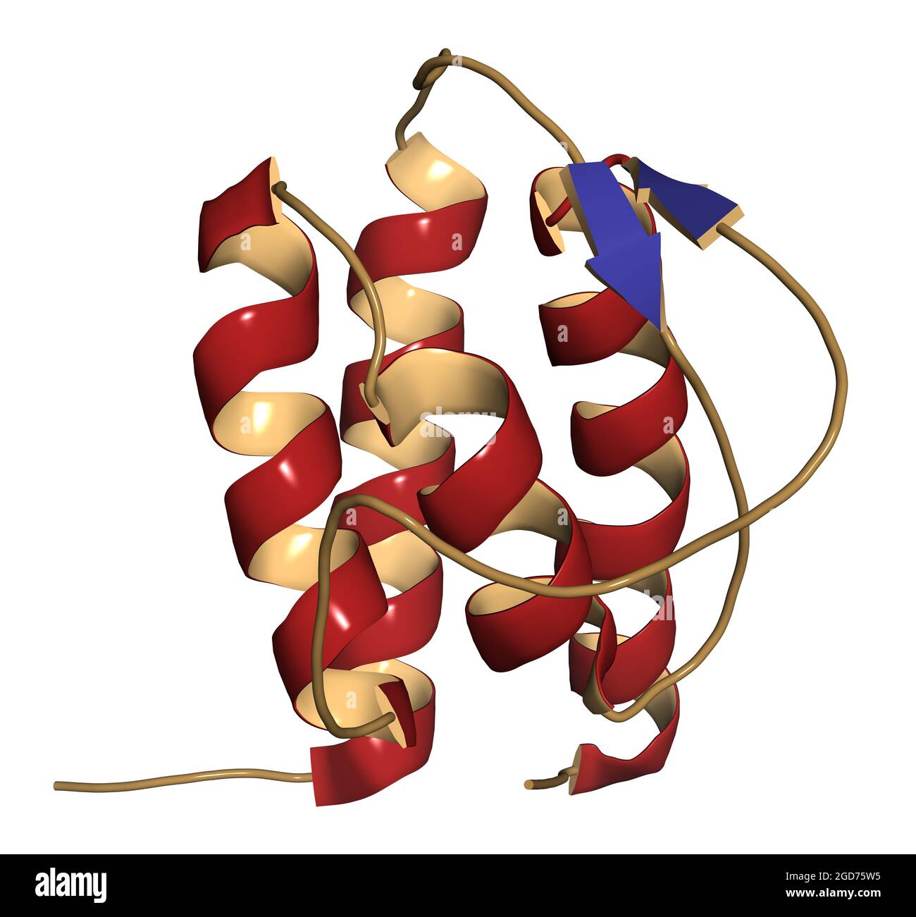 Interleukin 13 (IL-13) Cytokin-Protein. 3D-Illustration. Stockfoto