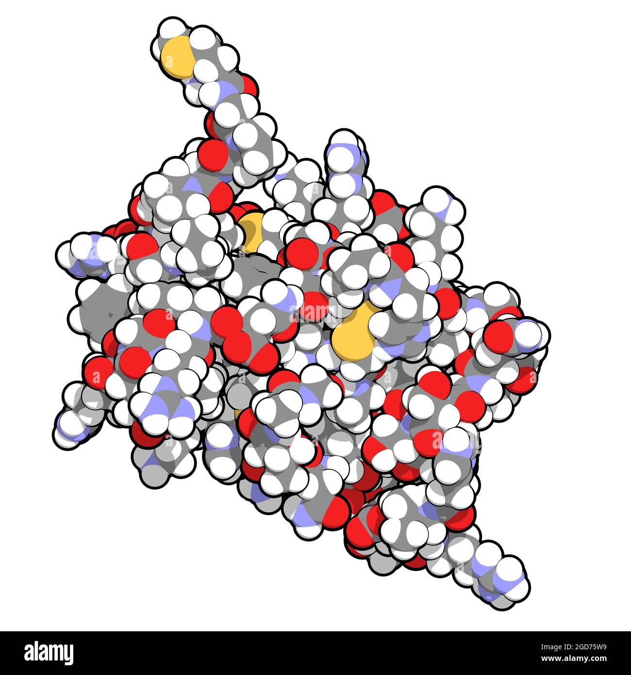 Interleukin 13 (IL-13) Cytokin-Protein. 3D-Illustration. Stockfoto