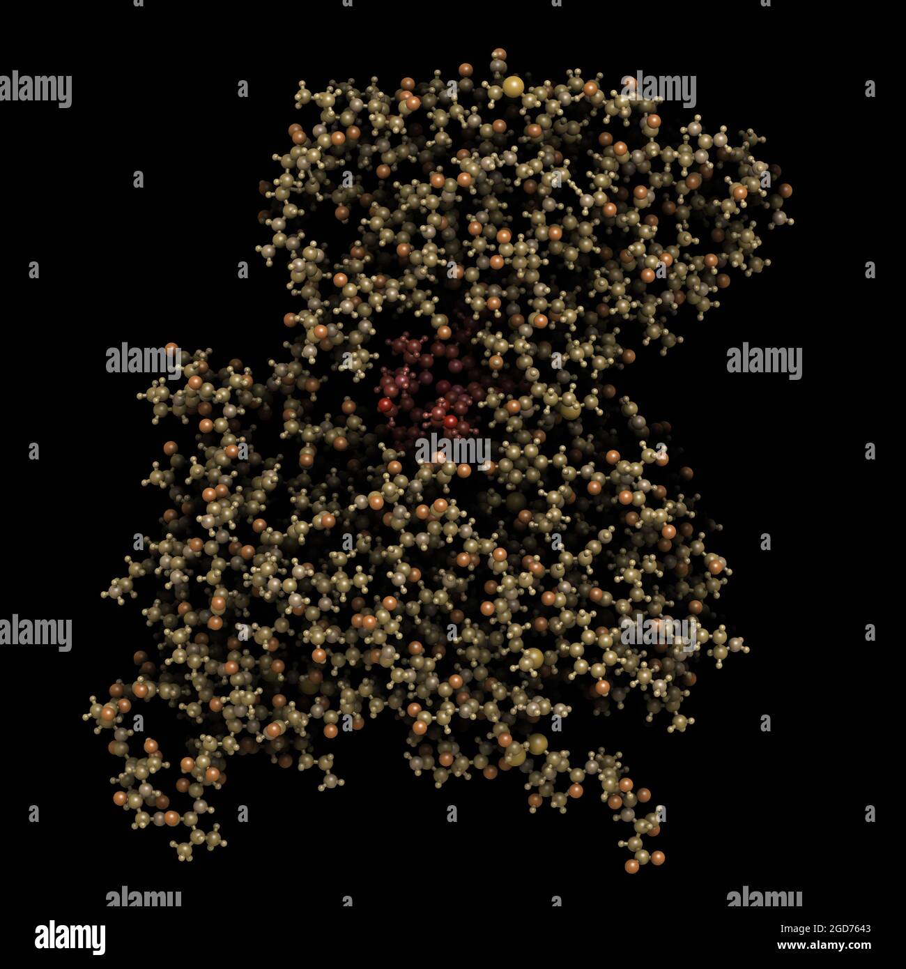 Protein mit intrinsischem Faktor (IF). 3D-Illustration. Stockfoto