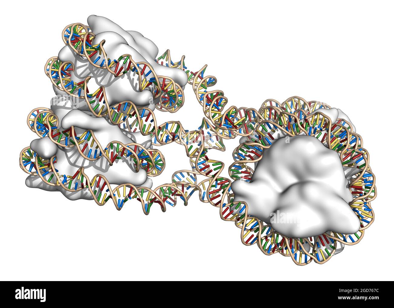 Nukleosomen-Struktur. 3D-Illustration. Stockfoto