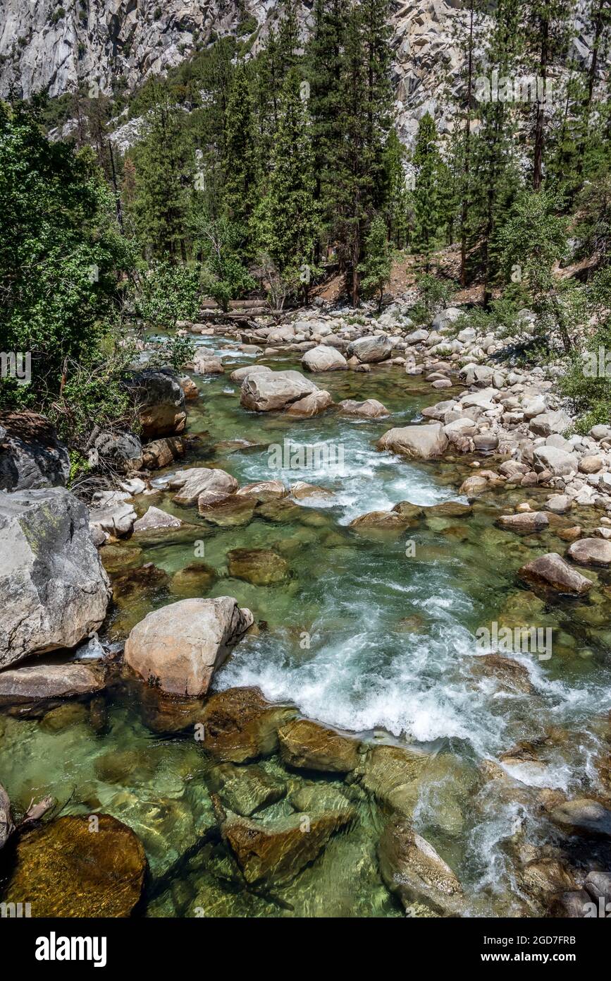Blick auf klares Wasser, das über Felsen in der South Fork des Kings River plätschert, nahe dem Ende der Straße am Kings Canyon National Park. Hier ist das Wasser niedriger t Stockfoto