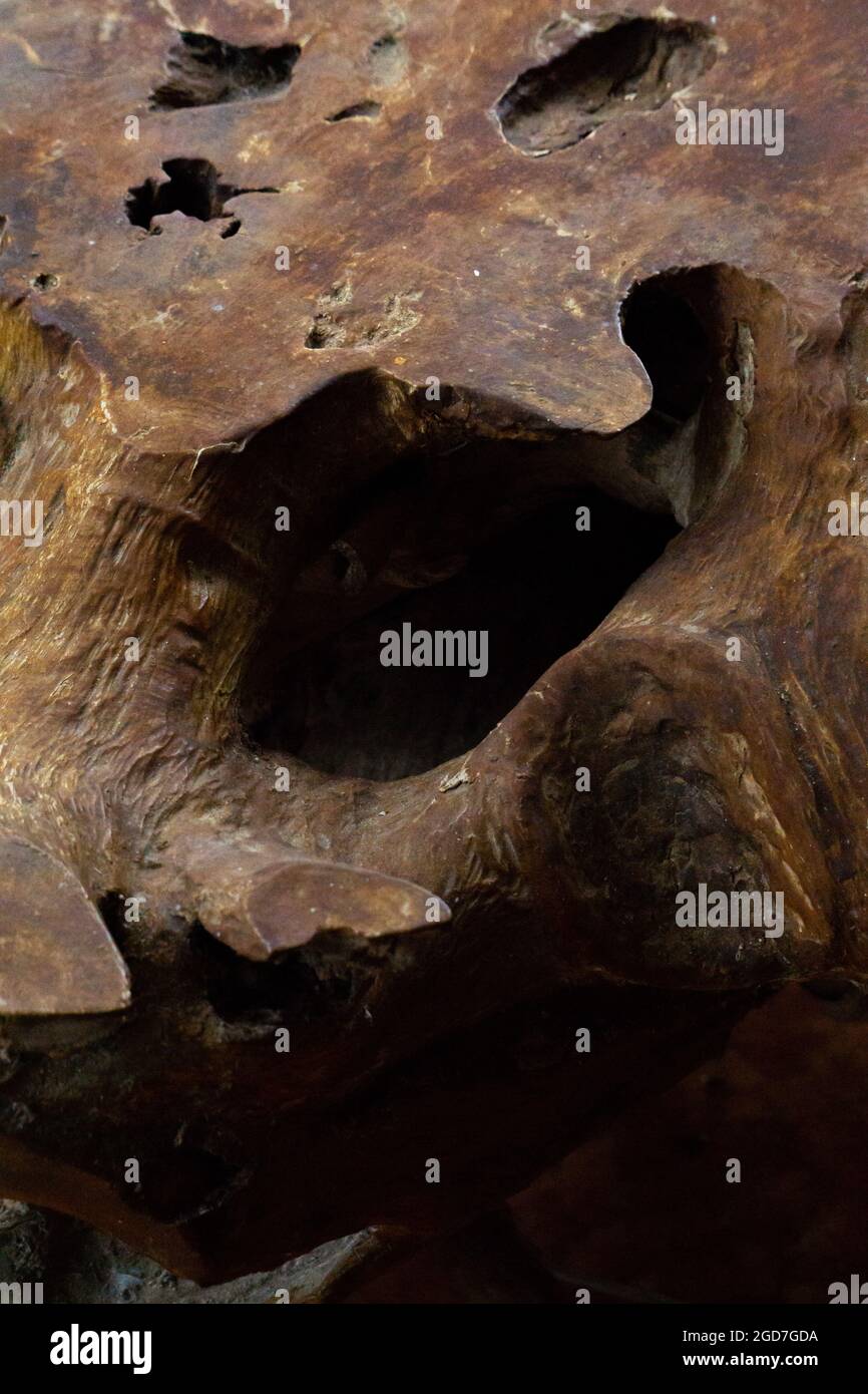 Großes Wurzelloch zur Dekoration im Freien, strukturiertes braunes Holz Stockfoto