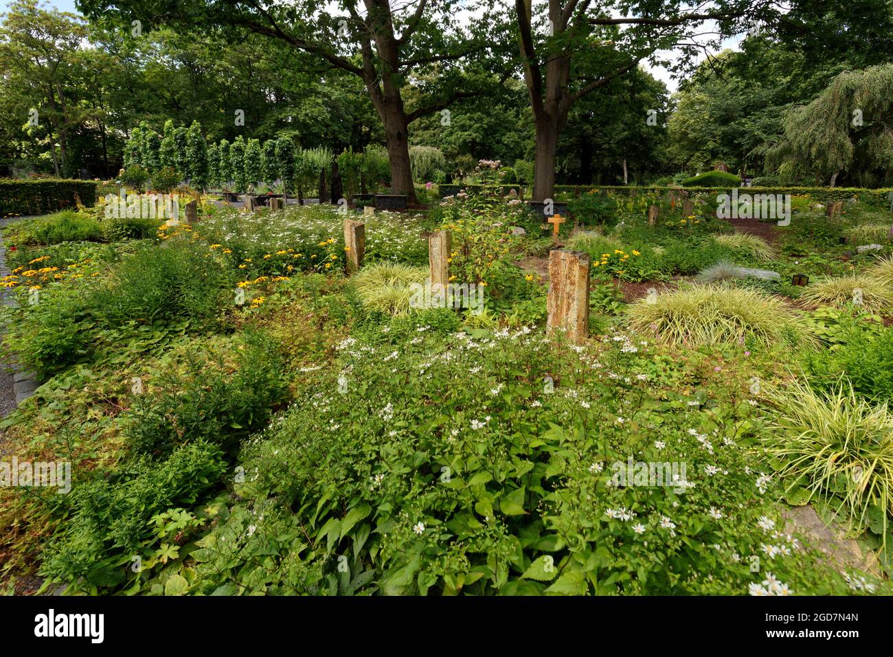Moderner Bestattungsgarten in köln auf dem Melaten melaten Friedhof Stockfoto