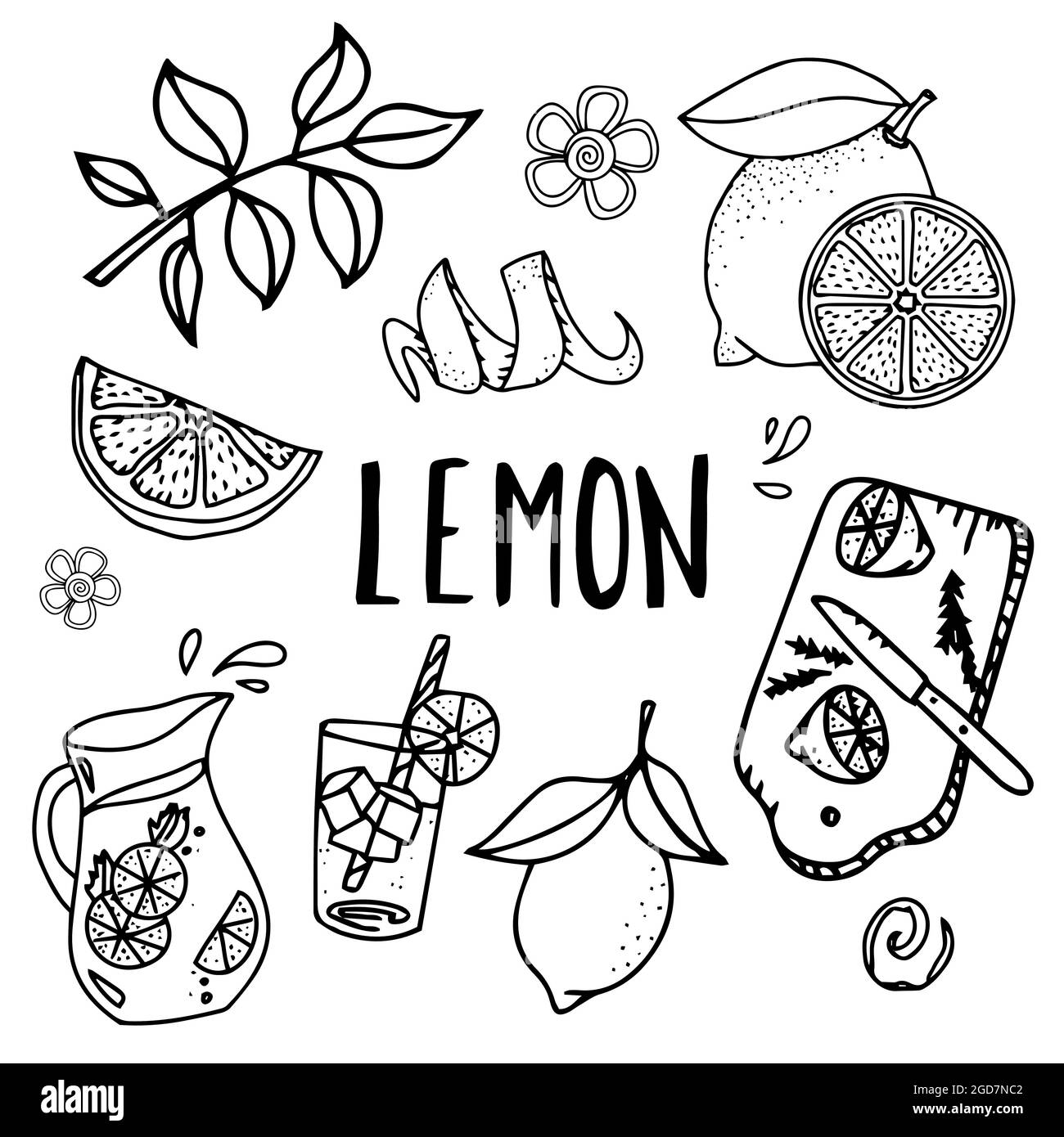 Zitrone Vektor Obst vegane Küche Zutat. Zitronen-Set. Vektorskizze, Doodle isoliert auf weißem Hintergrund. Handgezeichnete Skizzensammlung „Zitrone“. Stock Vektor