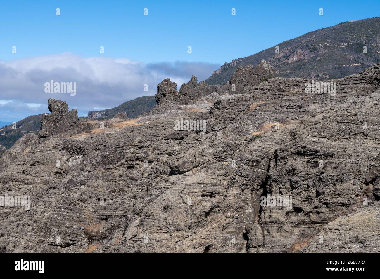 Die Geologie im Robert Louis Stevenson State Park ist einzigartig und gehört zu den Sonoma-Vulkaniten, die vor 2.6 bis 8 Millionen Jahren entstanden sind. Vis Stockfoto
