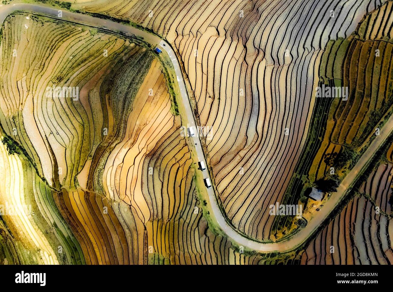 Y Ty schöne Reisterrasse in der Provinz Lao Cai im Norden Vietnams Stockfoto