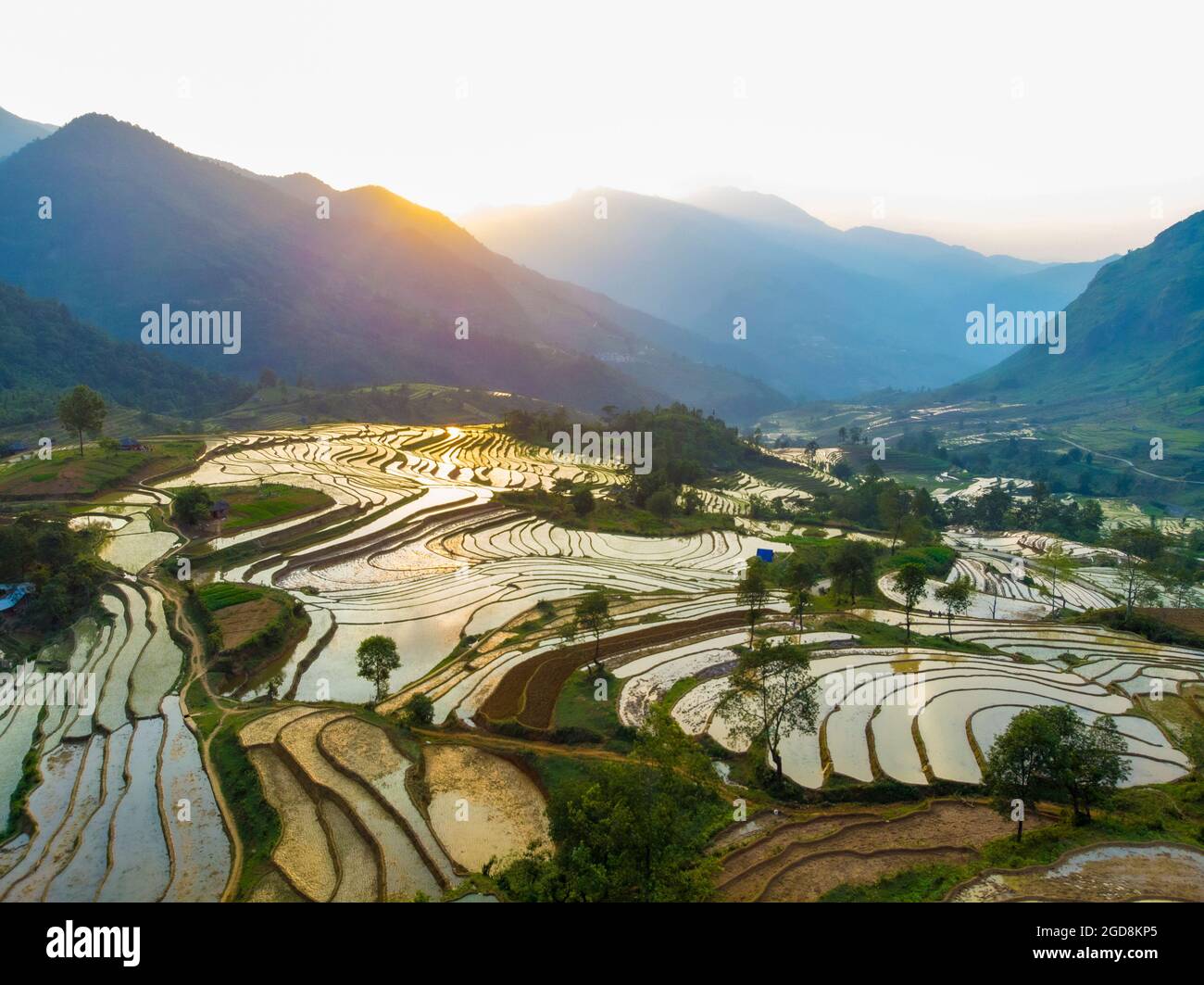 Y Ty schöne Reisterrasse in der Provinz Lao Cai im Norden Vietnams Stockfoto