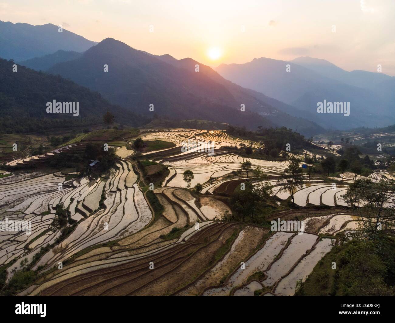 Y Ty schöne Reisterrasse in der Provinz Lao Cai im Norden Vietnams Stockfoto