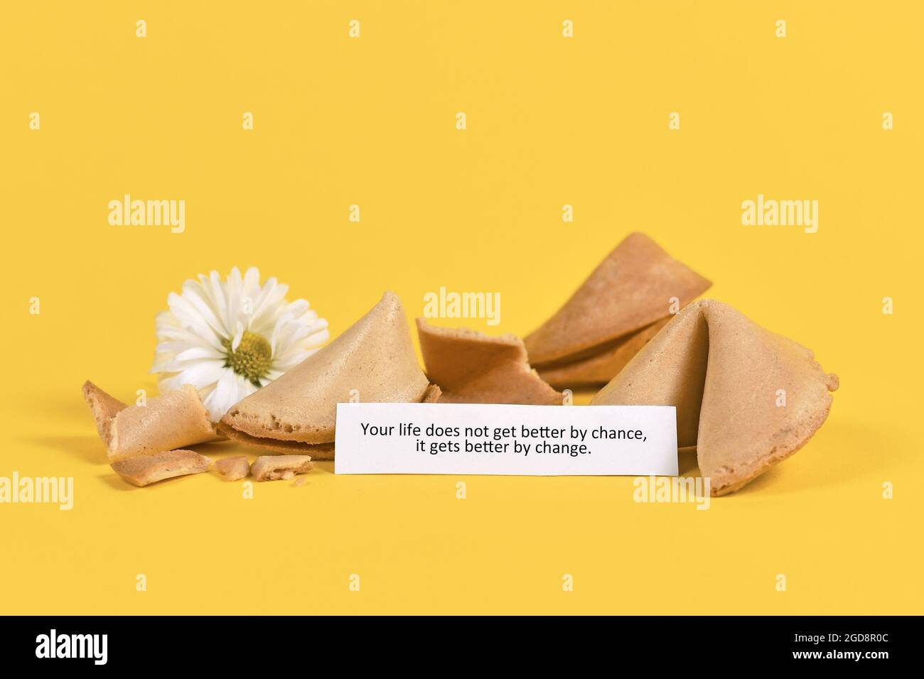 Beachten Sie in Fortune Cookie mit den Worten „Ihr Leben wird nicht durch Zufall, es wird durch Veränderung besser“ auf gelbem Hintergrund mit Blumen. Motivierende Konz Stockfoto