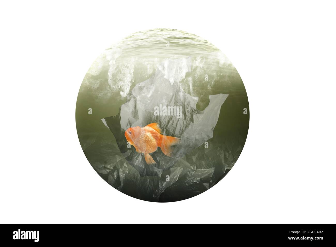 Unterwasseransicht mit Goldfischen, die in Plastiktüten auf dem See gefangen sind. Verschmutzung durch Plastik. Umgebungskonzept Stockfoto