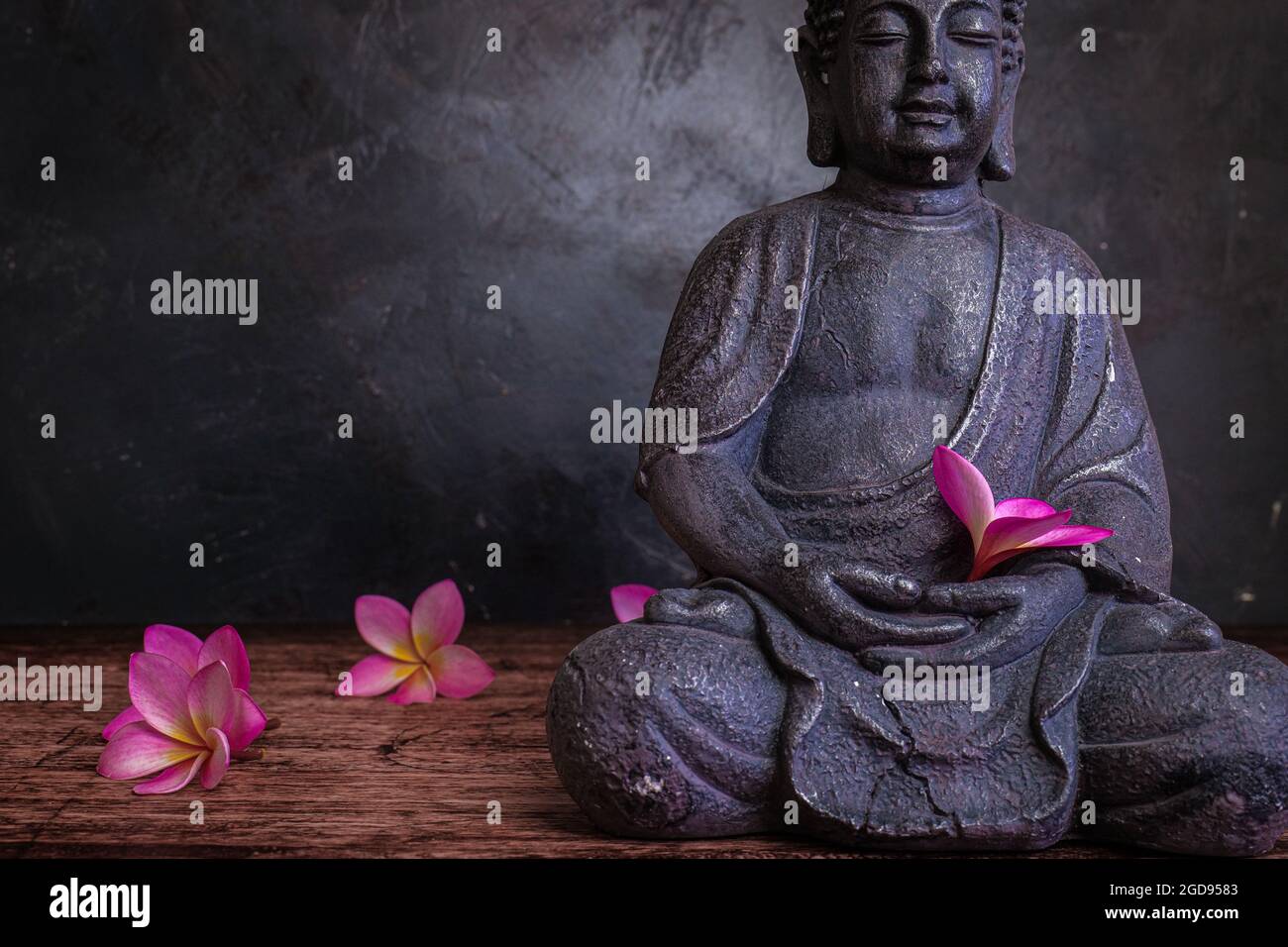 Buddha-Statue mit Frangipani-Blumen auf dunklem Hintergrund Stockfoto