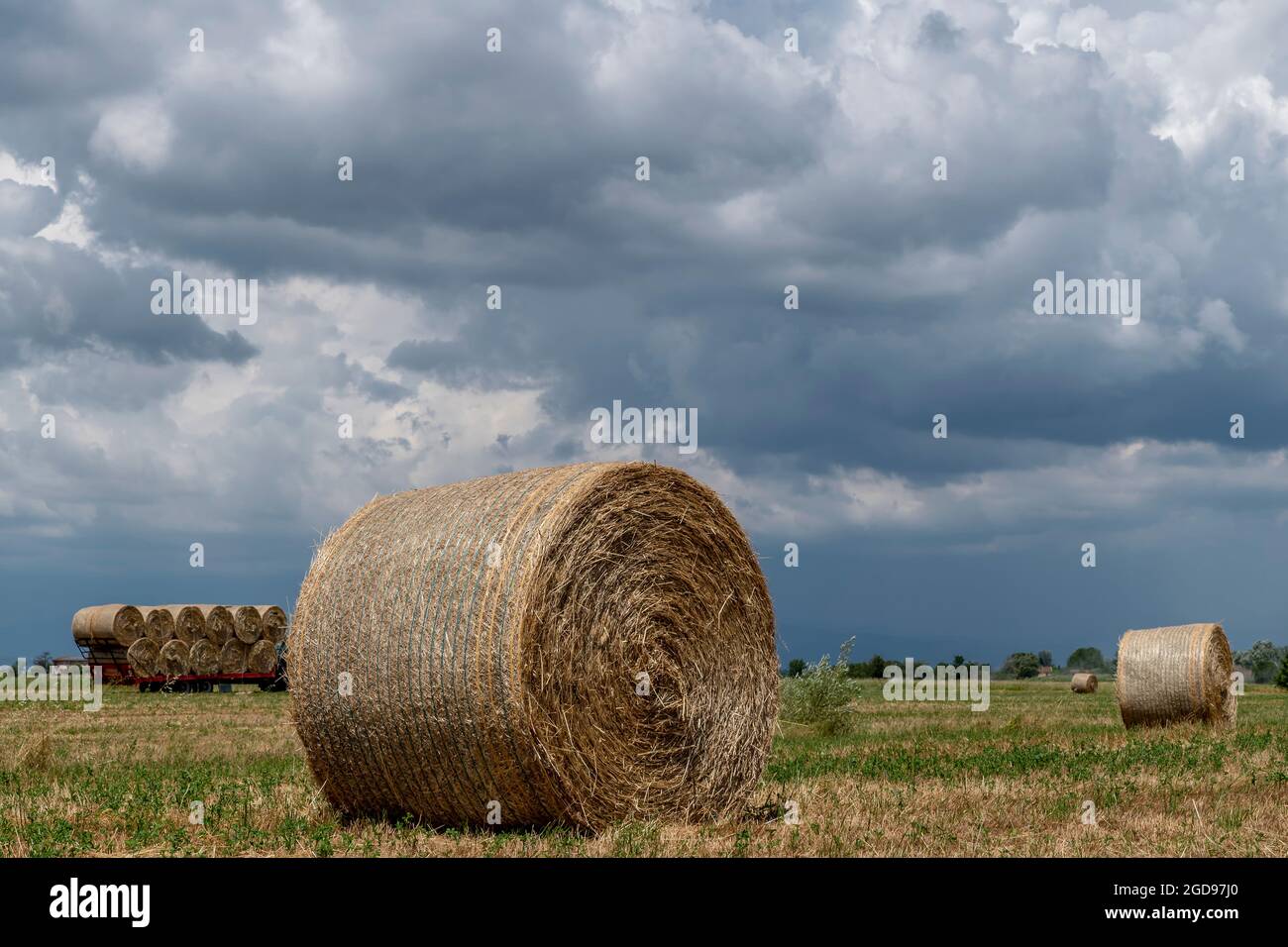 Heuballen auf einem Feld mit einem Anhänger voller anderer Ballen im Hintergrund unter einem dramatischen Himmel, Bientina, Pisa, Italien Stockfoto