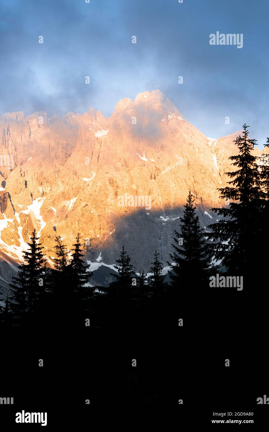Silhouetten von Bäumen bei Sonnenaufgang umrahmt Croda Rossa di Sesto und Cima Undici auf dem Hintergrund, Sextner Dolomiten, Südtirol, Italien Stockfoto