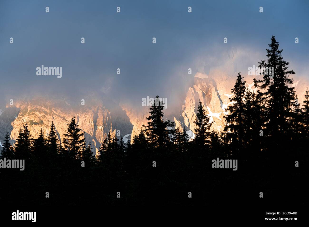 Nebel bei Sonnenaufgang über der Popera-Gruppe und den von Bäumen umrahmten Bergen der Croda Rossa di Sesto, den Sextner Dolomiten, Südtirol, Italien Stockfoto