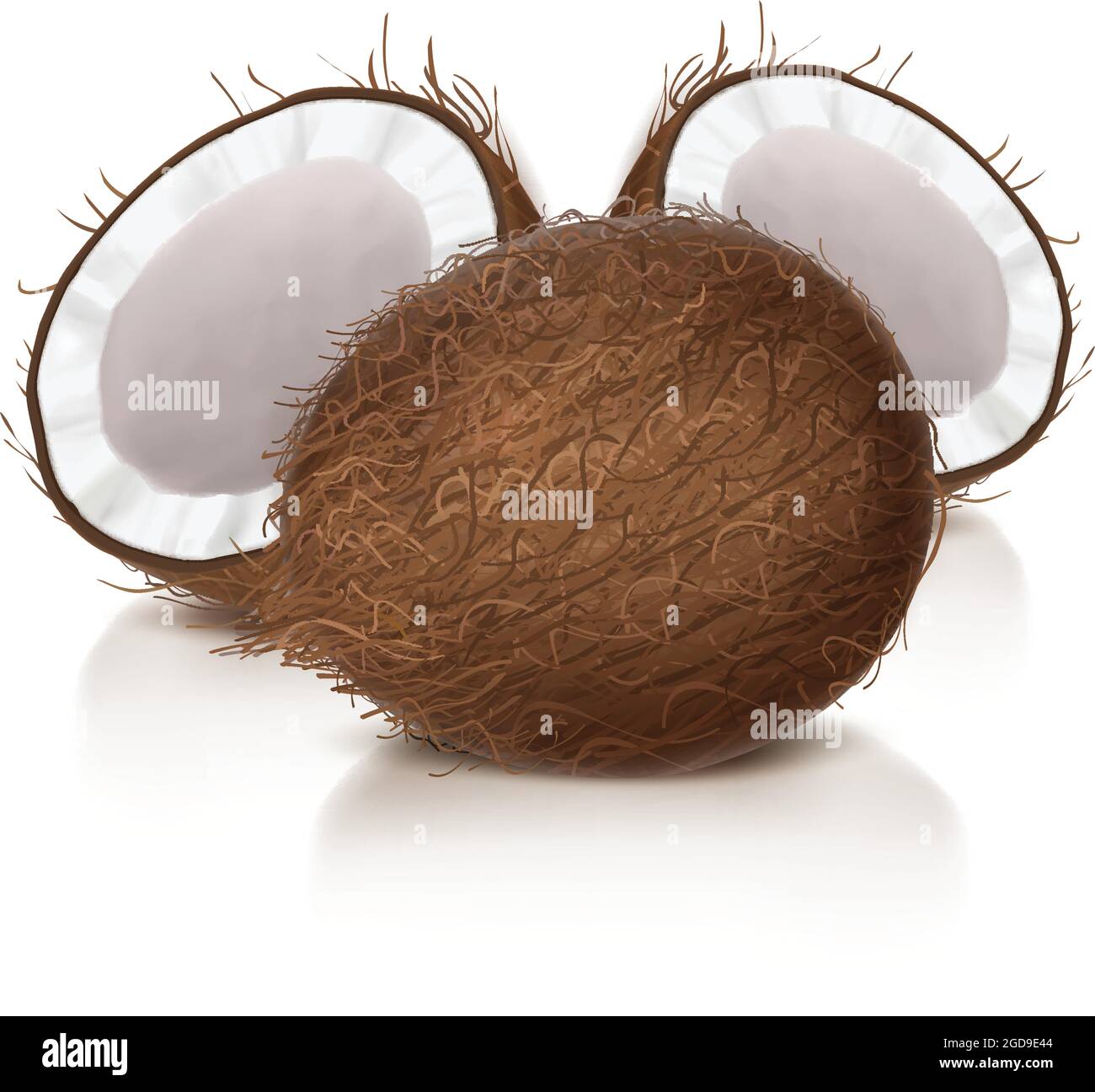 Kokos realistische Vektor-Illustration, ganze und halb gebrochene Kokosnuss mit Reflexion, isoliert auf weißem Hintergrund,. Set zum Verpacken von Naturkost und Bio-Kosmetik. Stock Vektor