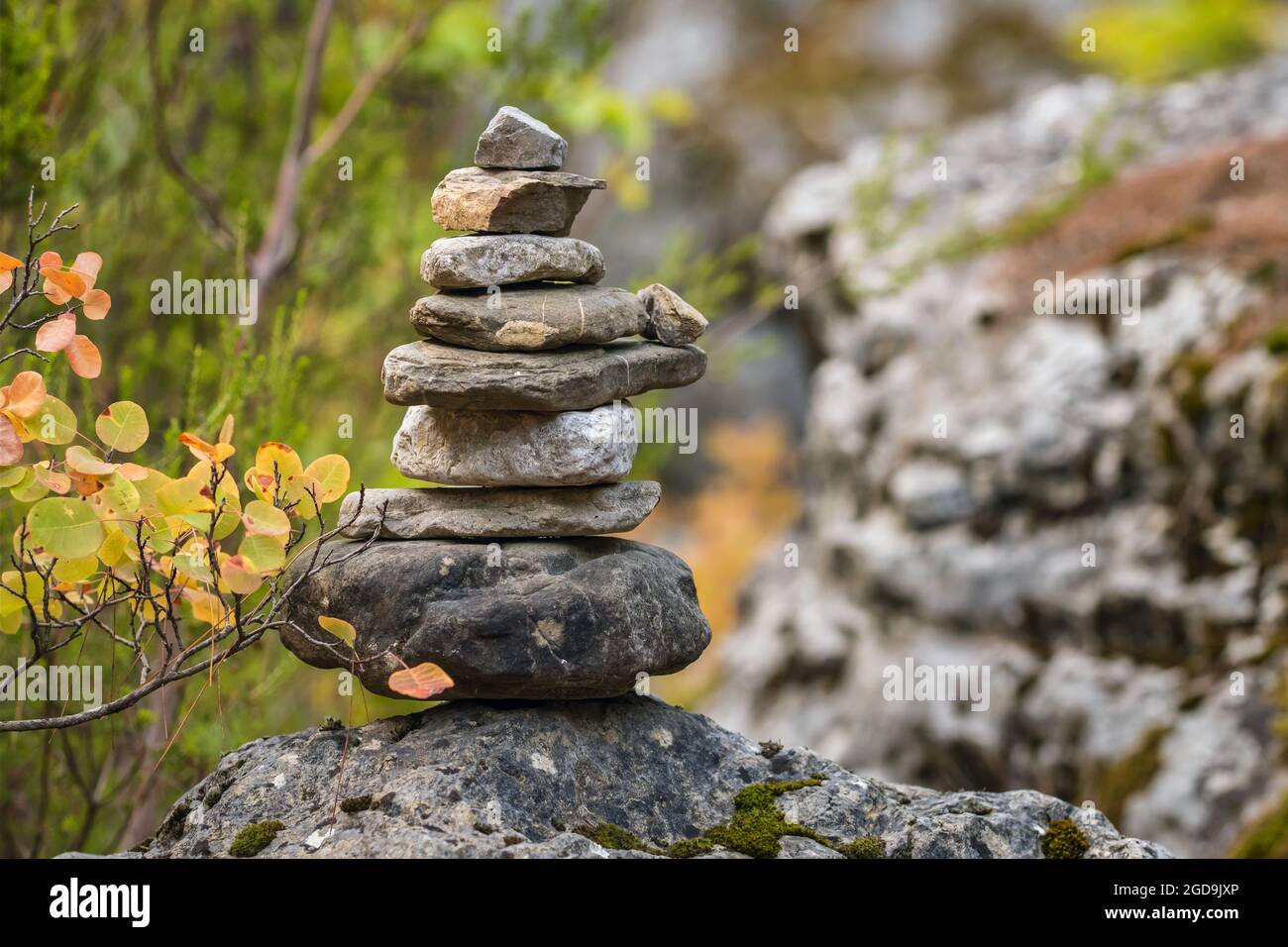 Balancieren Sie Steine auf dem Felsen im Herbstwald Stockfoto