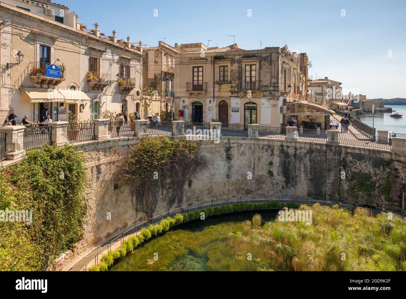 Der Brunnen von Arethusa und Siracusa in Sizilien, Italien. Stockfoto