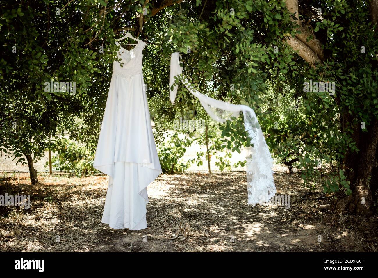 Langes, weißes Hochzeitskleid und ein Schleier, der im Sommer an einem Baum hängt Stockfoto