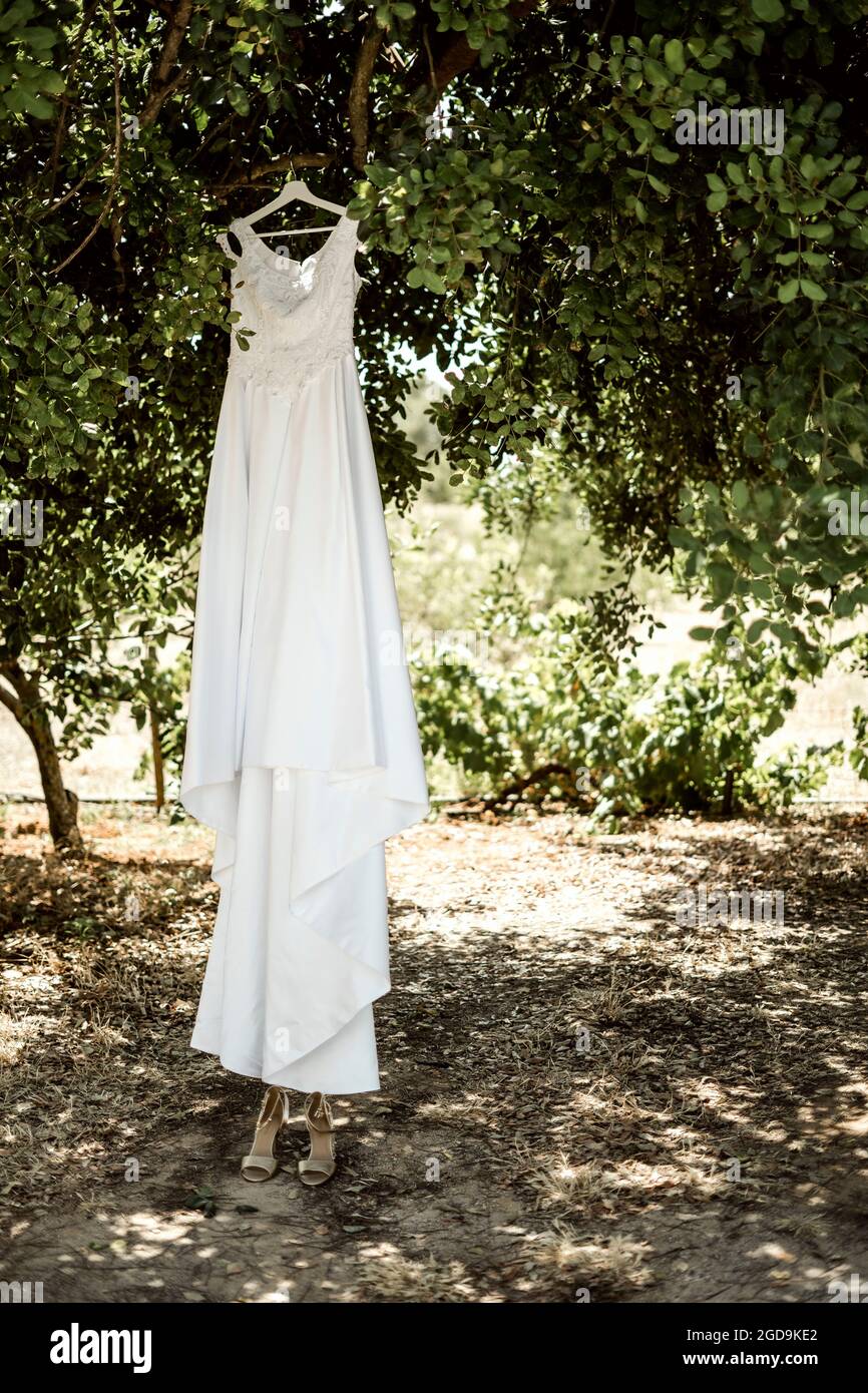 Langes, weißes Hochzeitskleid hängt im Sommer an einem Baum Stockfoto