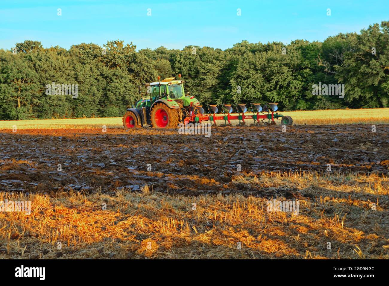 Traktor pflügt ein Feld bereit für die Aussaat Stockfoto