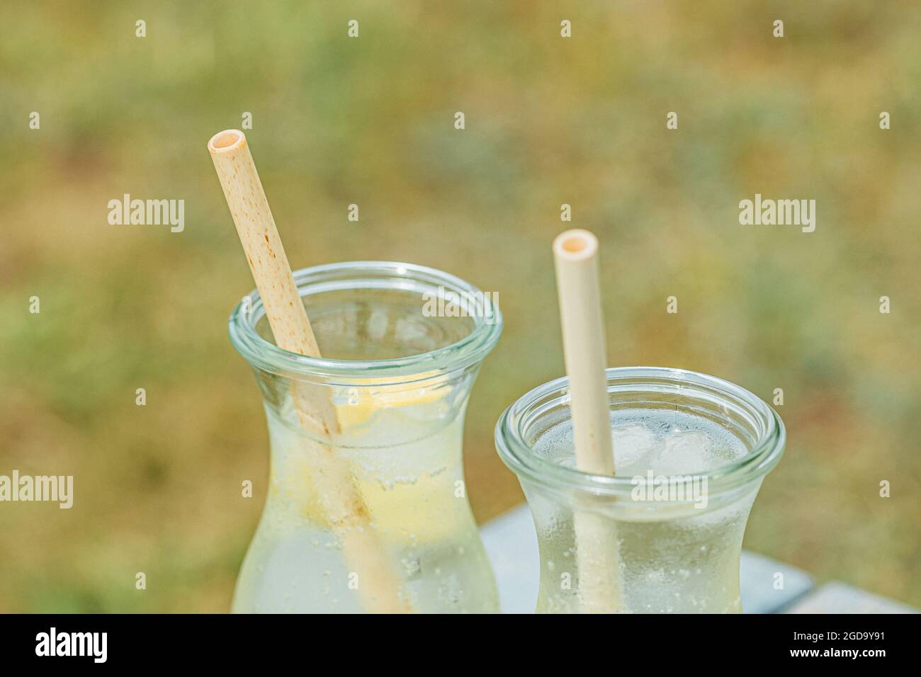 Frisches Wasser mit Zitronenscheibe in einem Glasbecher mit biologisch abbaubaren und biologischen Bambusstrohhalmen Stockfoto