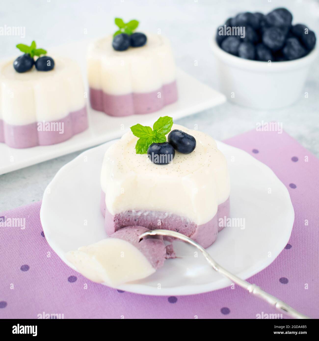 Vanille-Heidelbeere Panna Cotta. Das original italienische Dessert. Stockfoto