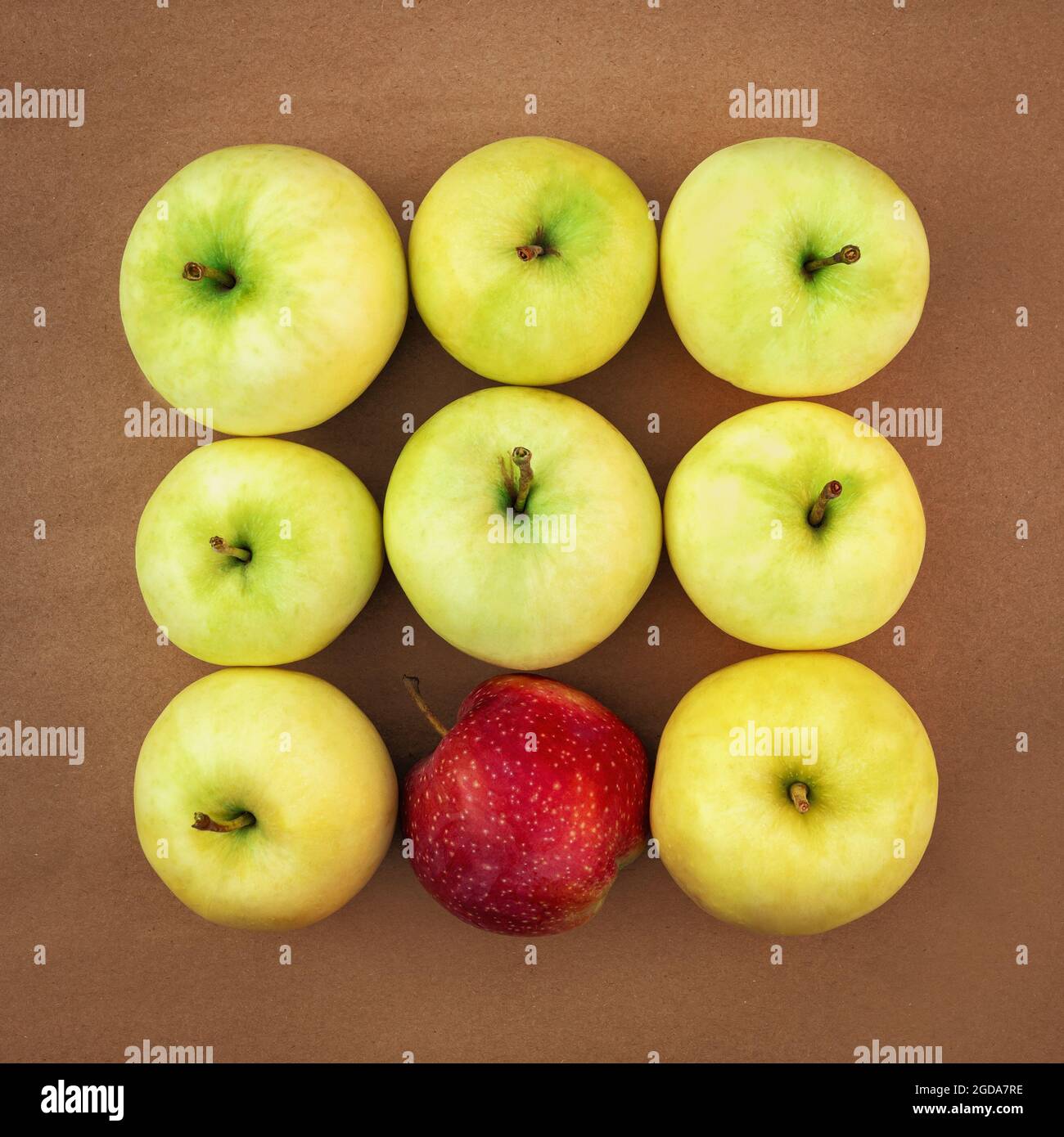 Reife, saftige, gelb-grüne Äpfel im Quadrat mit einem roten Apfel. Stockfoto