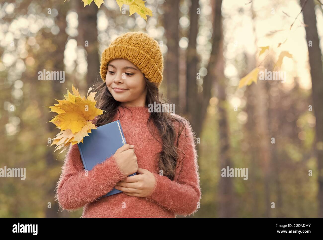 Im Herbst die Natur kennen zu lernen macht Spaß. Kleines Kinderbuch mit Herbstblättern. Herbstblatt-Kollektion. Pflanzen für Herbarium sammeln. Schule Stockfoto