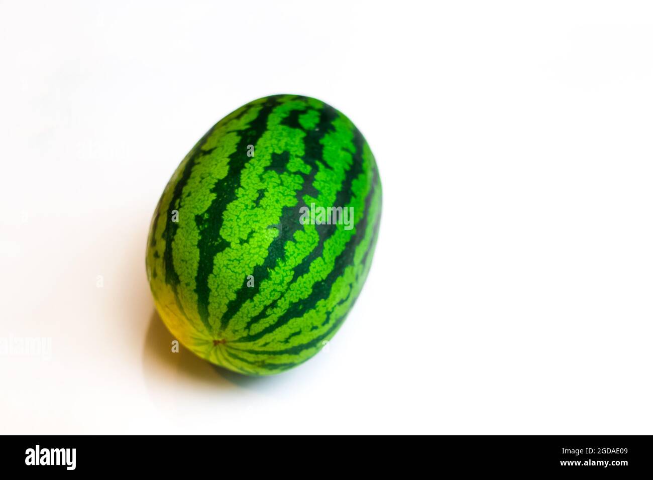 Nahaufnahme einer reifen, runden, dunkelgrünen Wassermelone, isoliert auf weißem Hintergrund. Natürliche Bio-Sommerfrüchte und Beeren. Selektiver Fokus. Stockfoto