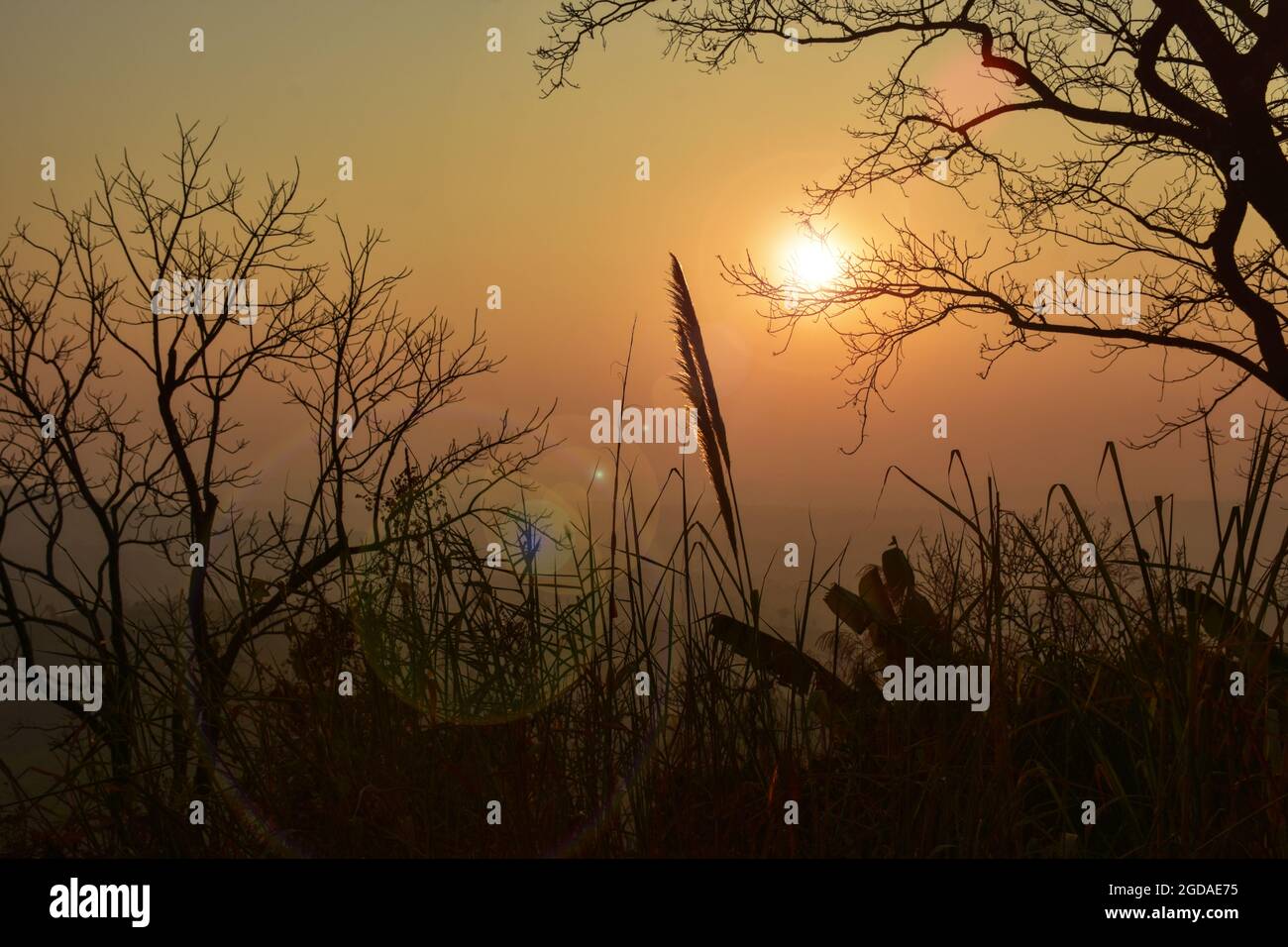 Schöner Sonnenaufgang Stockfoto