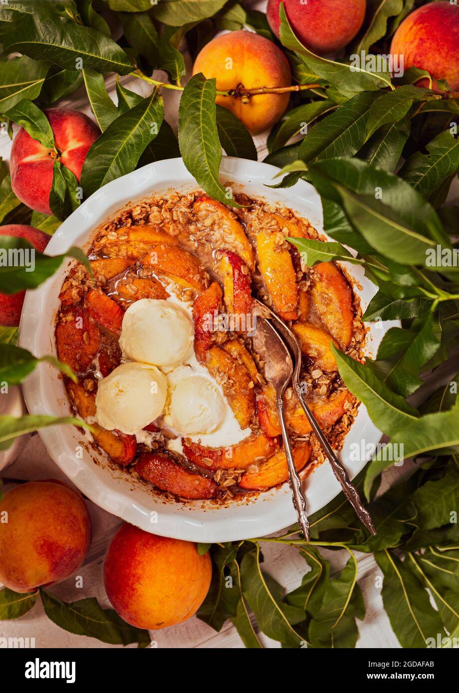 Hausgemachter Pfirsich-Crisp mit Eis, umgeben von frischen rohen Pfirsichen Stockfoto