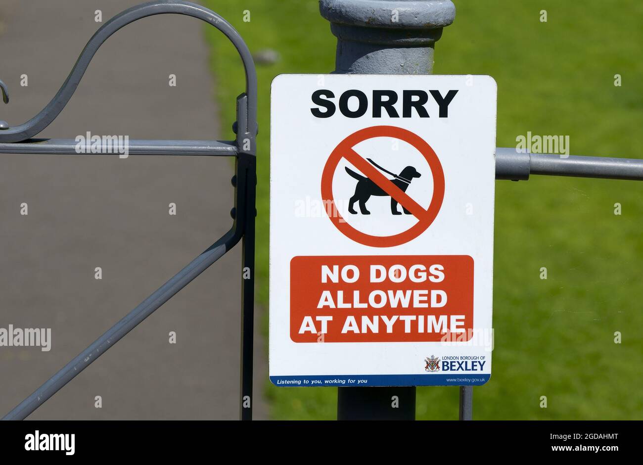 London, England, Großbritannien. Auf dem Gelände der Abtei Lesnes ist das Schild „No Dogs allowed“ zu sehen Stockfoto