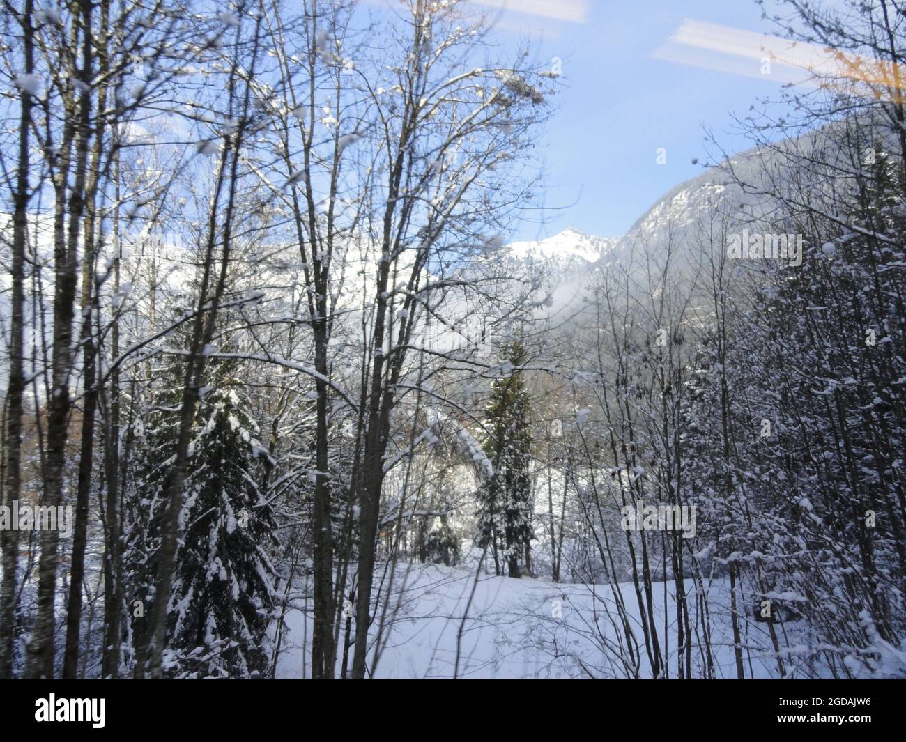 Paysages : vue du Petit train de Chamonix en hiver Stockfoto