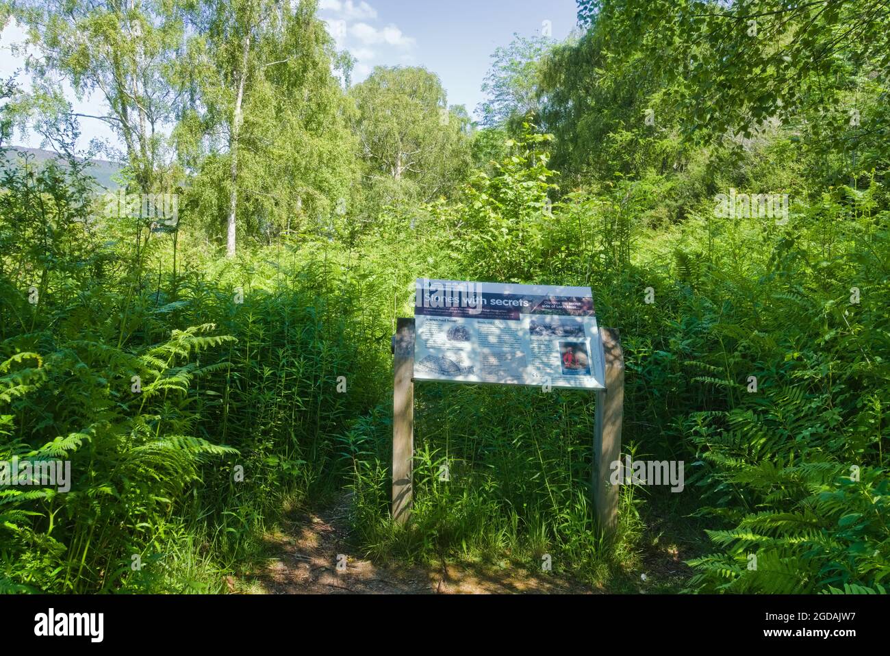 Loch Ness, geheime Südseite von loch, B862, Tourist, Wanderer, Besucher, Ändern Haus Weg, zu Fuß, ruhig, unentdecktes, begraben, Gold, Boswell, Johnson Stockfoto