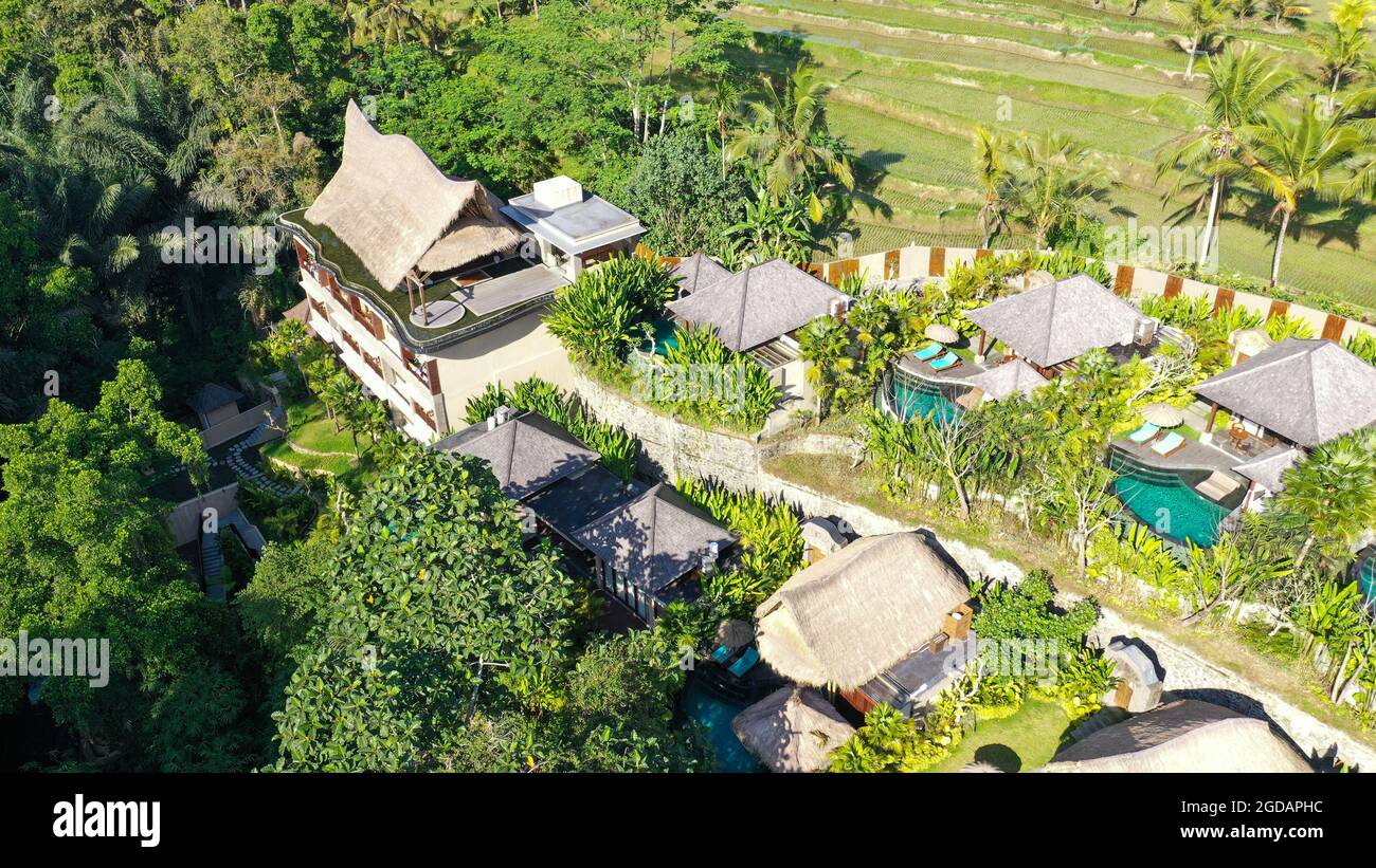 Luftaufnahme eines Luxushotels mit Villen und Pool im tropischen Dschungel  und Palmen. Luxuriöse Villa, Pavillon im Wald, Ubud, Bali Stockfotografie -  Alamy