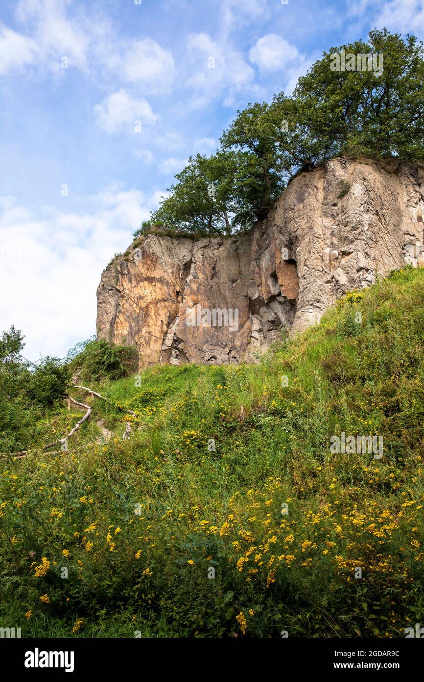 Felswand des Stenzelbergs im Siebengebirge bei Königswinter diente der Berg als Steinbruch für Quarzlatit bis zum Stockfoto