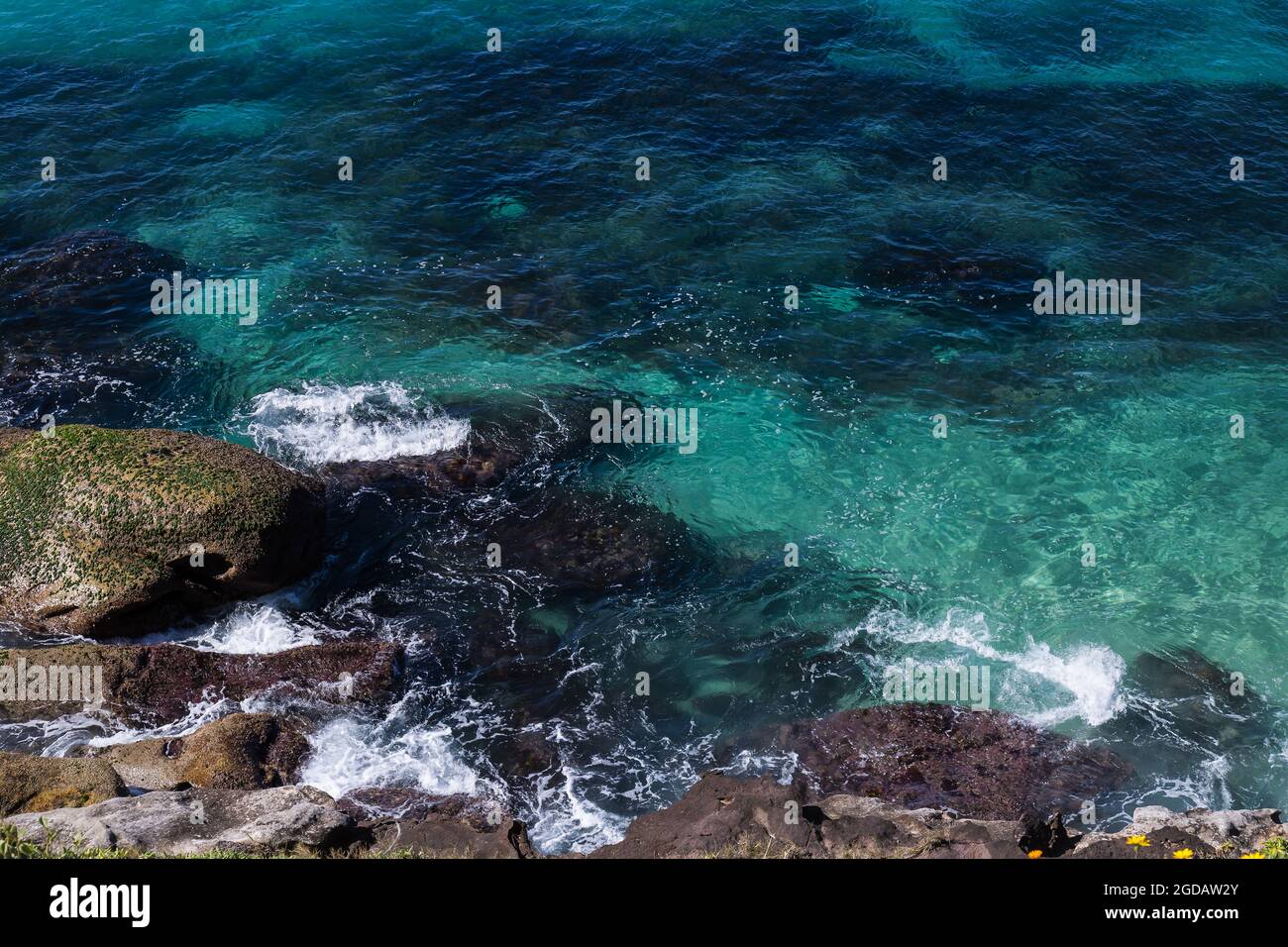 Sydney, Australien. Donnerstag, 12. August 2021.klares Meerwasser am Tamarama Beach an einem schönen Wintertag mit einer maximalen Temperatur von etwa 22 ºC am Tamarama Beach. Die Sperrbeschränkungen für Teile des Großraums Sydney wurden aufgrund der Ausbreitung der Delta-Variante weiter ausgeweitet. Quelle: Paul Lovelace/Alamy Live News Stockfoto