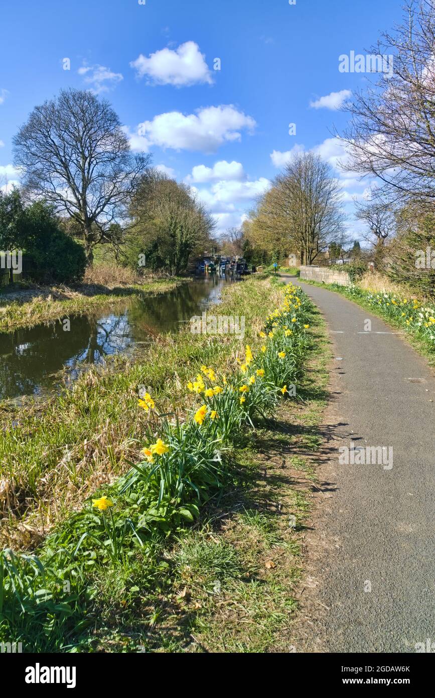 Heller, sonniger Frühlingstag in Linlithgow in der Nähe des Canal Centers, Union Canal. Narzissen. Boote, Besucher, Wanderer, West Lothian, Central Scotland UK. Stockfoto