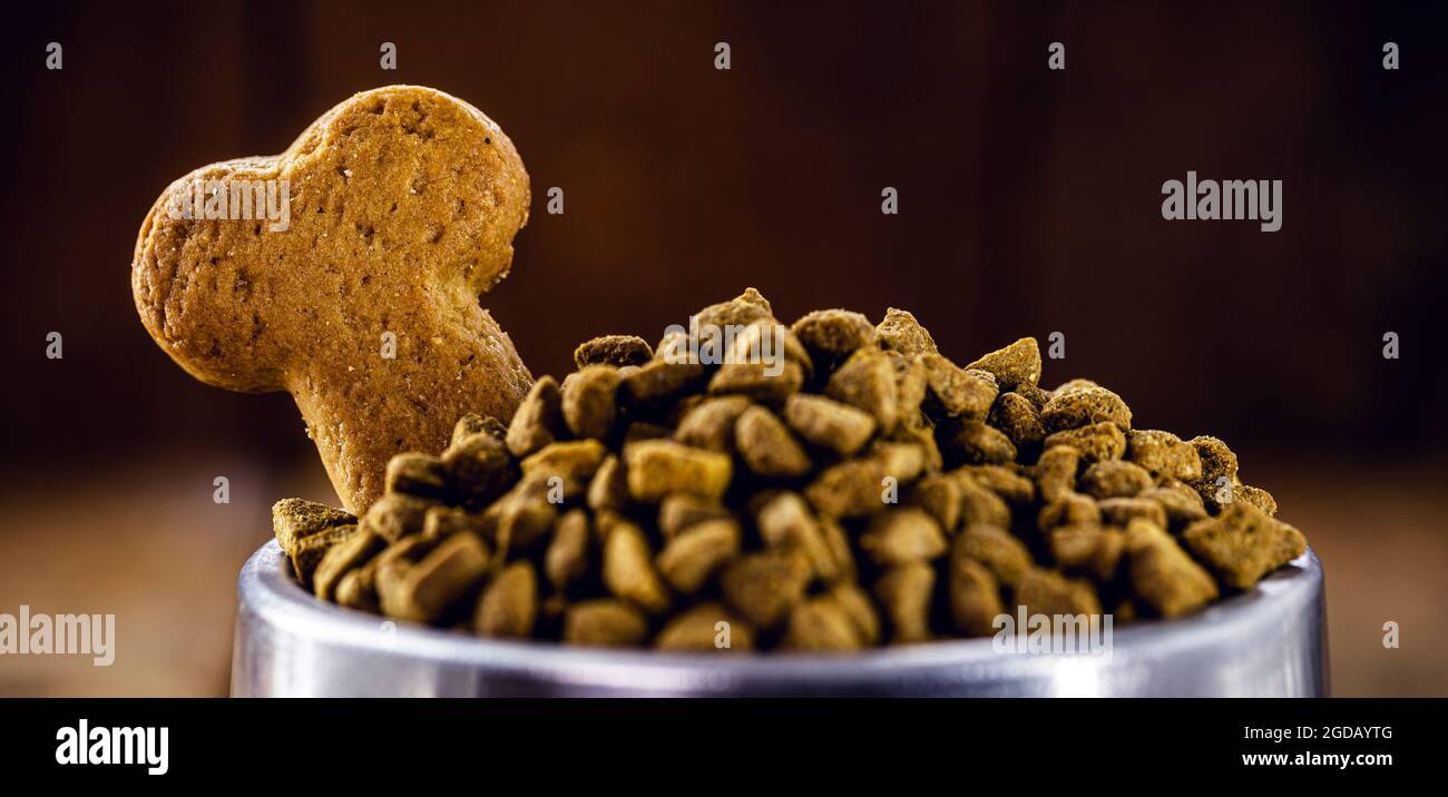 Knochenförmige Hundekekse mit Tierfutter, punktuellig Stockfoto