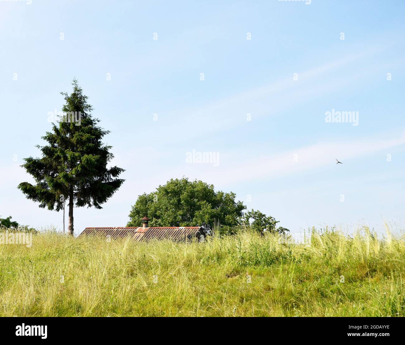 Schöne Horizont-Landschaft in Dorf Wiese auf Farbe natürlichen Hintergrund. Fotografie, bestehend aus Horizont-Landschaft in Wiesendorf an langen Felsvorsprung. Ho Stockfoto