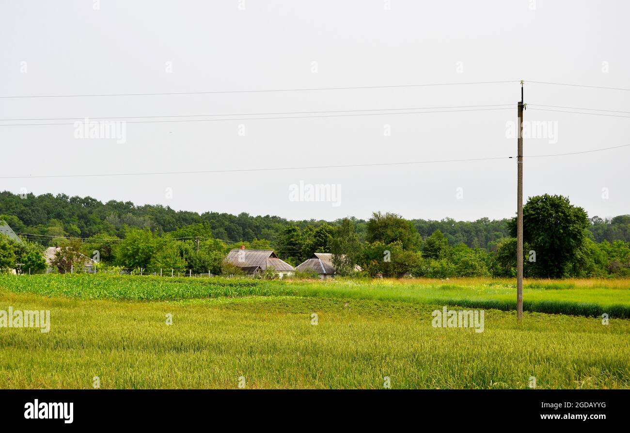 Schöne Horizont-Landschaft in Dorf Wiese auf Farbe natürlichen Hintergrund. Fotografie, bestehend aus Horizont-Landschaft in Wiesendorf an langen Felsvorsprung. Ho Stockfoto
