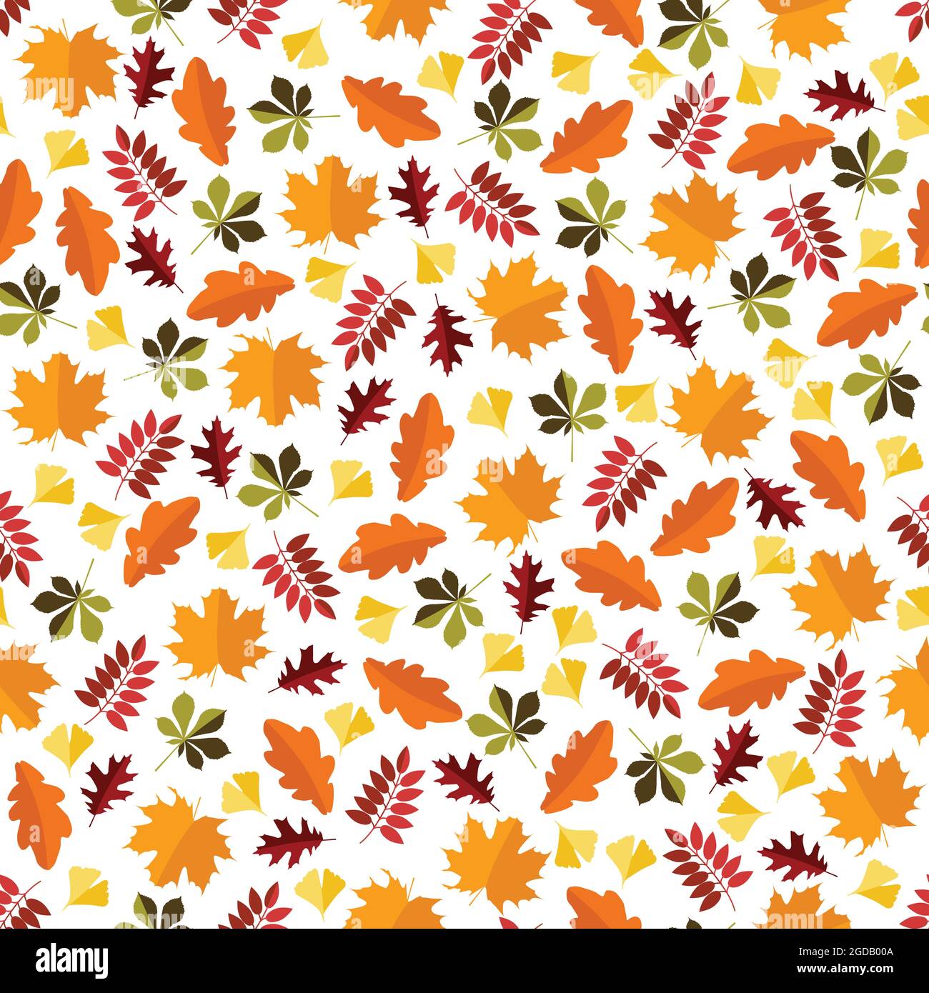 Kastanien-, Ahorn-, Eiche-, Esche- und Gingkoblätter auf transparentem Hintergrund. Die Blätter sind in zwei Farbnuancen derselben Farbe gefärbt. Stock Vektor