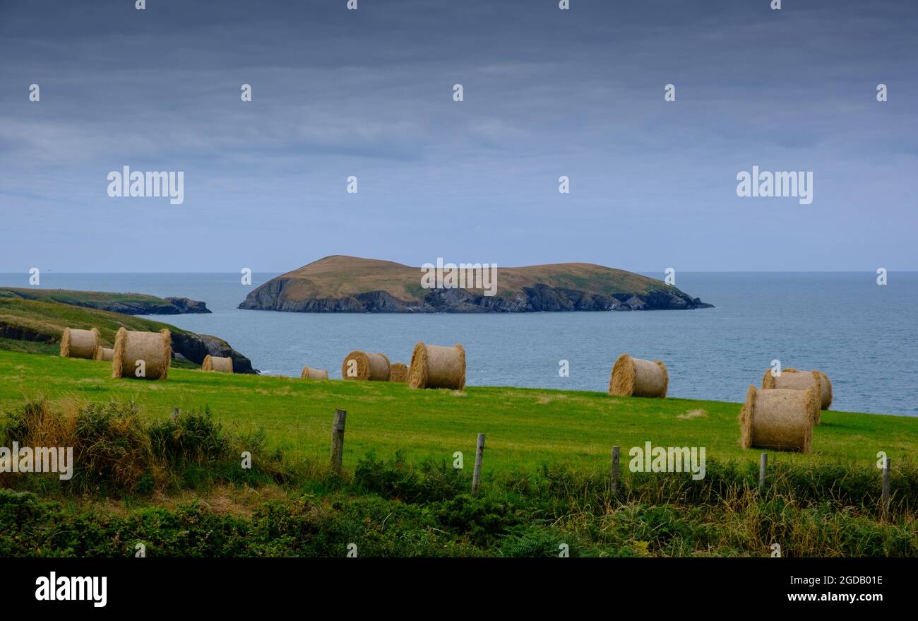 Runde Heu- oder Strohhalme an der walisischen Küste, aufgenommen vom Campingplatz Nant-y-Croi Farm in Wales, Großbritannien mit Blick auf Cardigan Island. 2021 Stockfoto