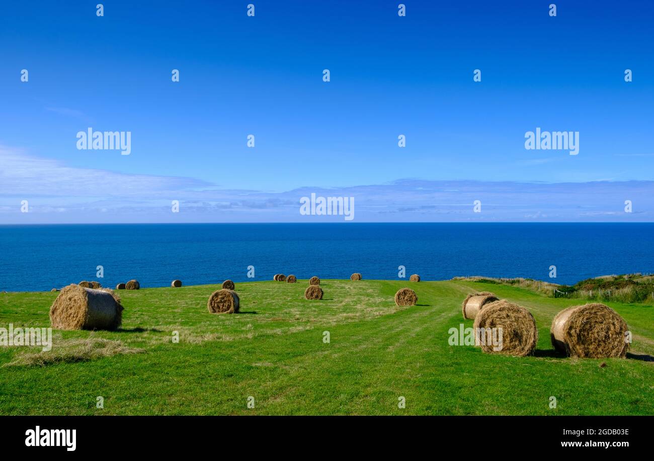 Runde Heu- oder Strohhalme an der walisischen Küste, aufgenommen vom Nant-y-Croi Farm Camp in Wales, Großbritannien. 2021 Stockfoto