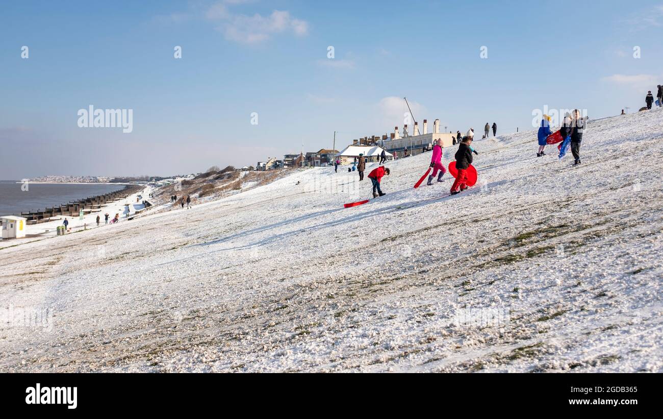 Familien, die im Winter auf den Tankerton Pisten, Kent, Großbritannien, Spaß beim Rodeln im Schnee haben Stockfoto