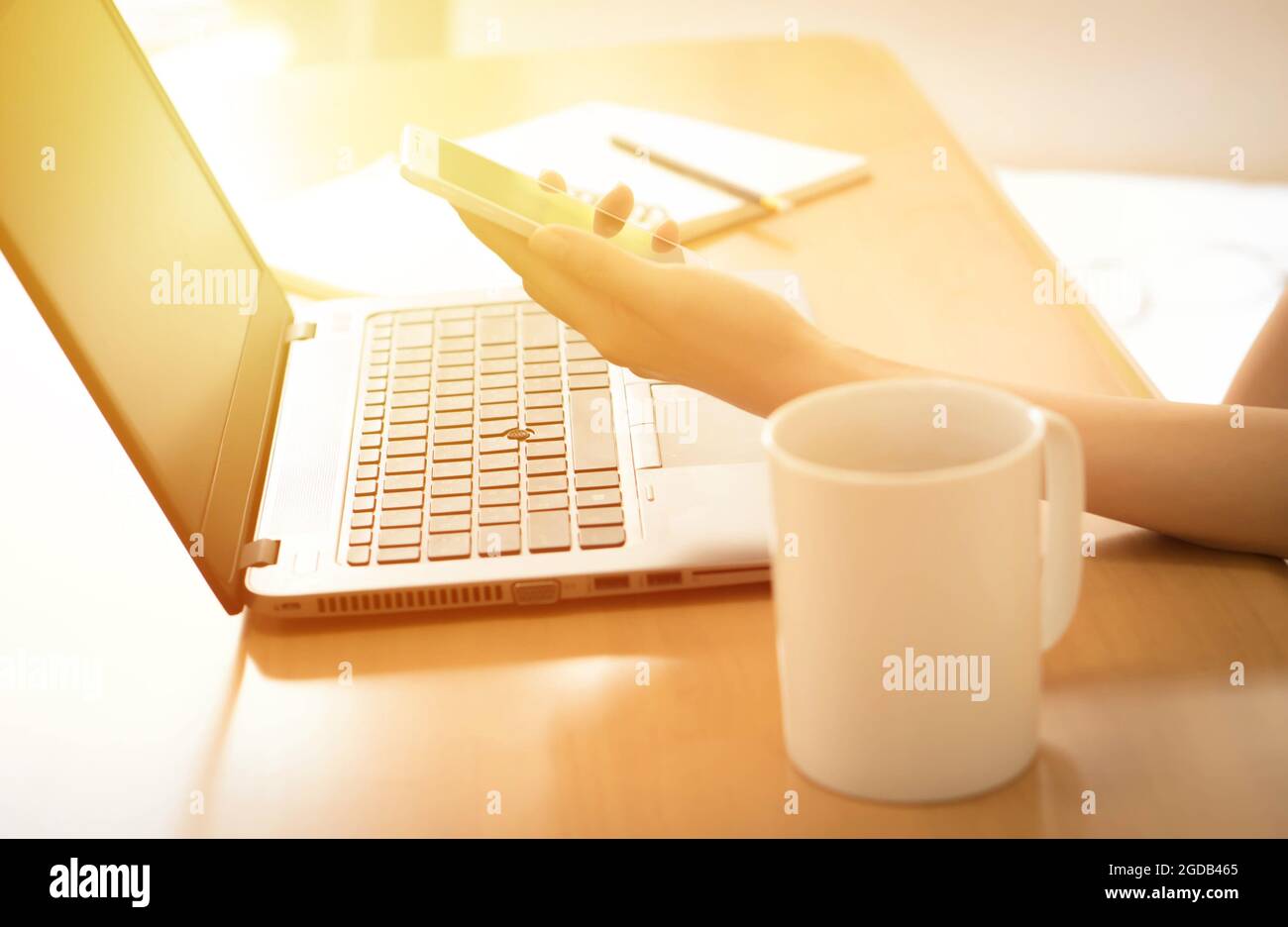 Arbeiten Sie mit der Freiheit der drahtlosen Technologie Stockfoto